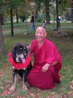 Lochen rimpoche et le chien 1